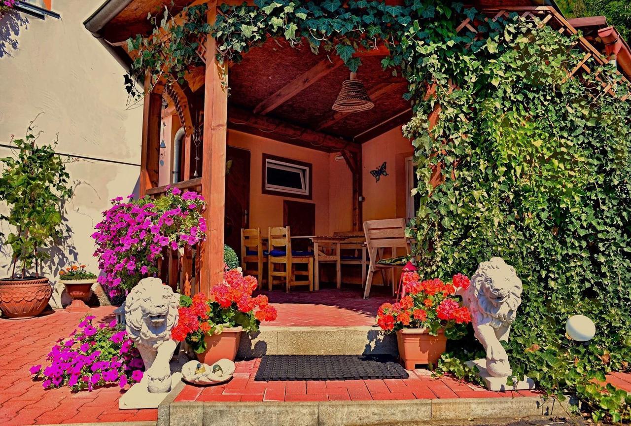 Penzion Radosov Ubytovani V Soukromi Kyselka  Extérieur photo